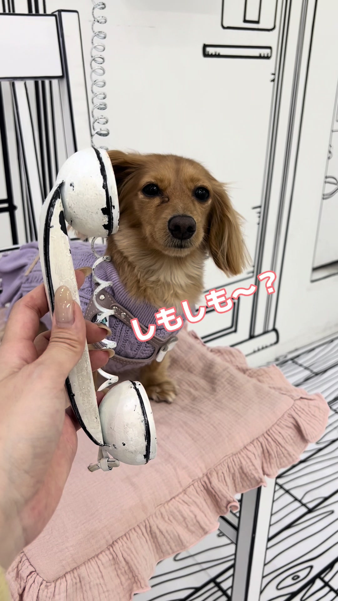 @wanwanカフェ物語