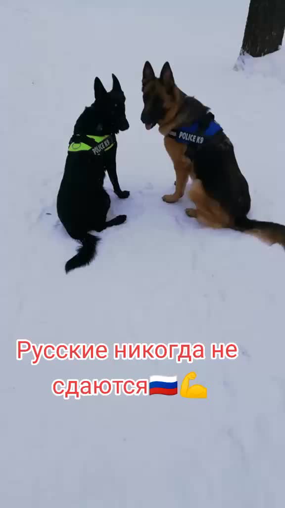 @Irinagerasimova