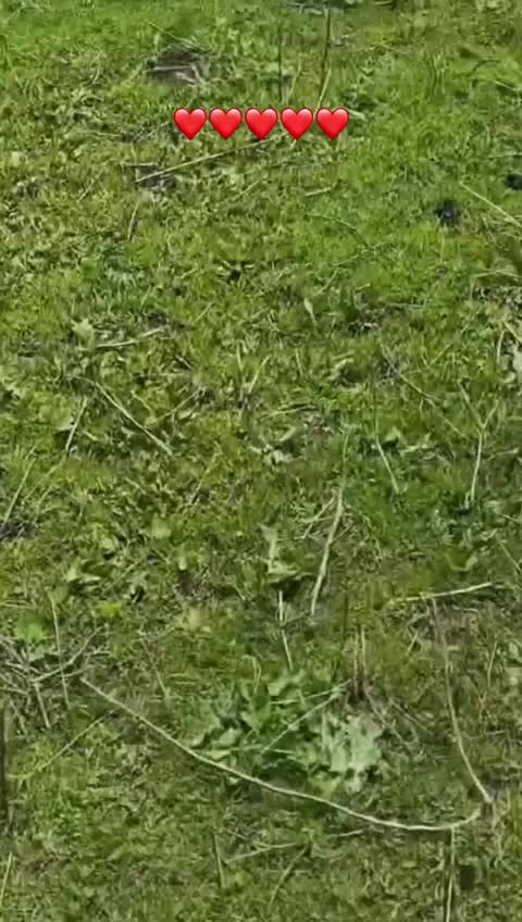 @Куба Тууганбаев