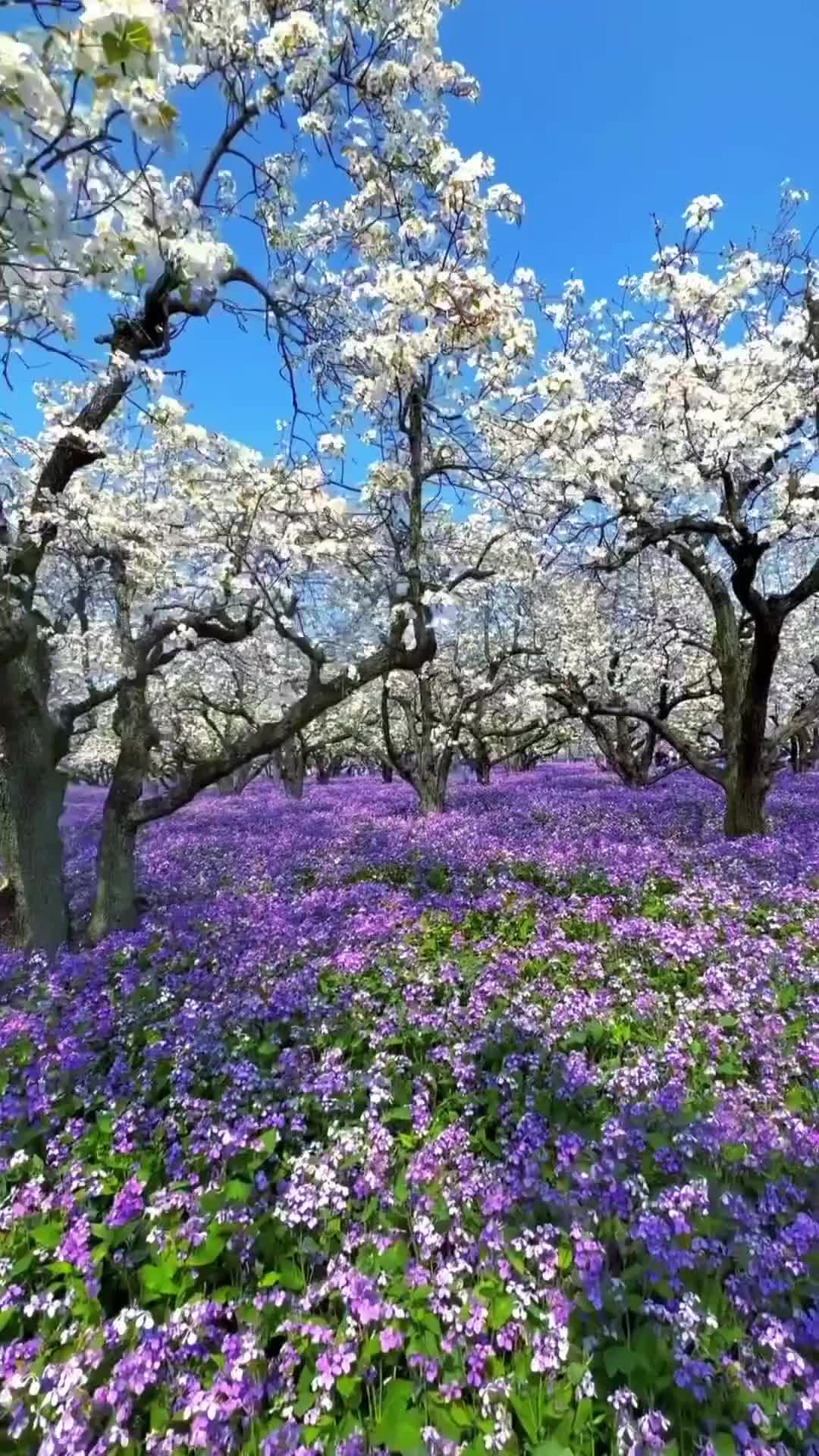 @Xalxın Arvadları🧕🏻👩🤷🏿♀️