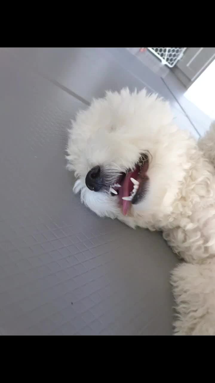 @๐