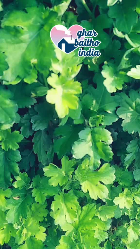 @@surya rawat