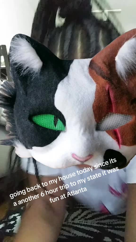 @Lilly.ON_pawz