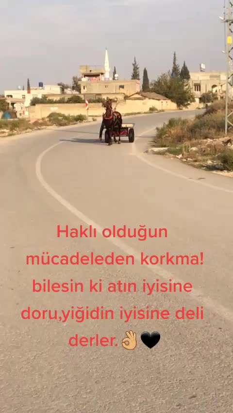 @Hilal Esmer