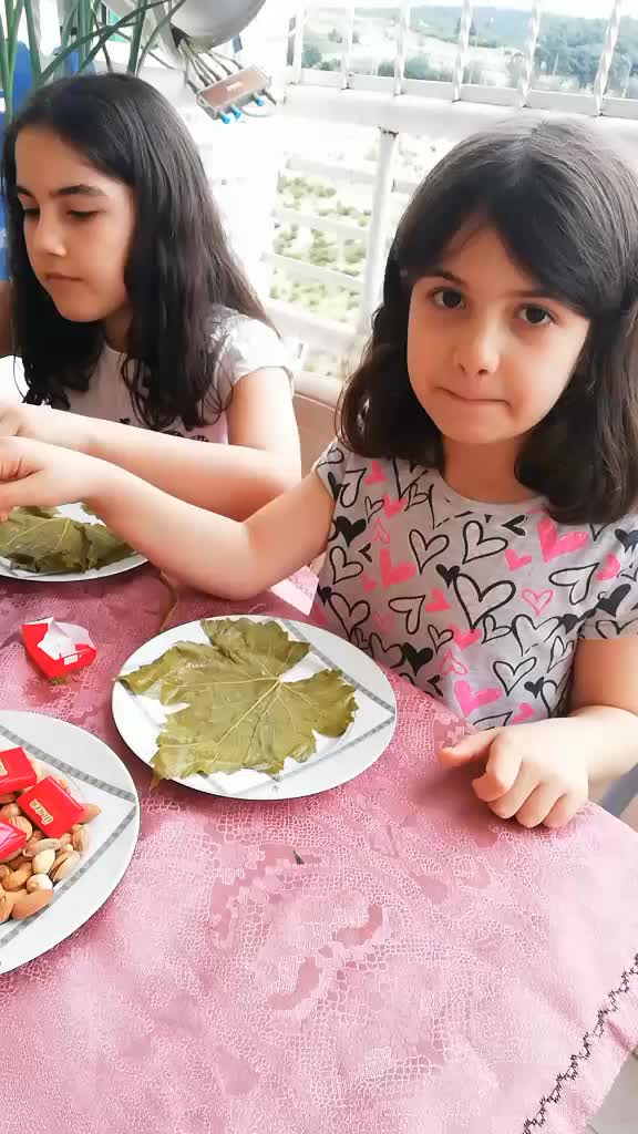 @Alimerdan Cansu Sevik