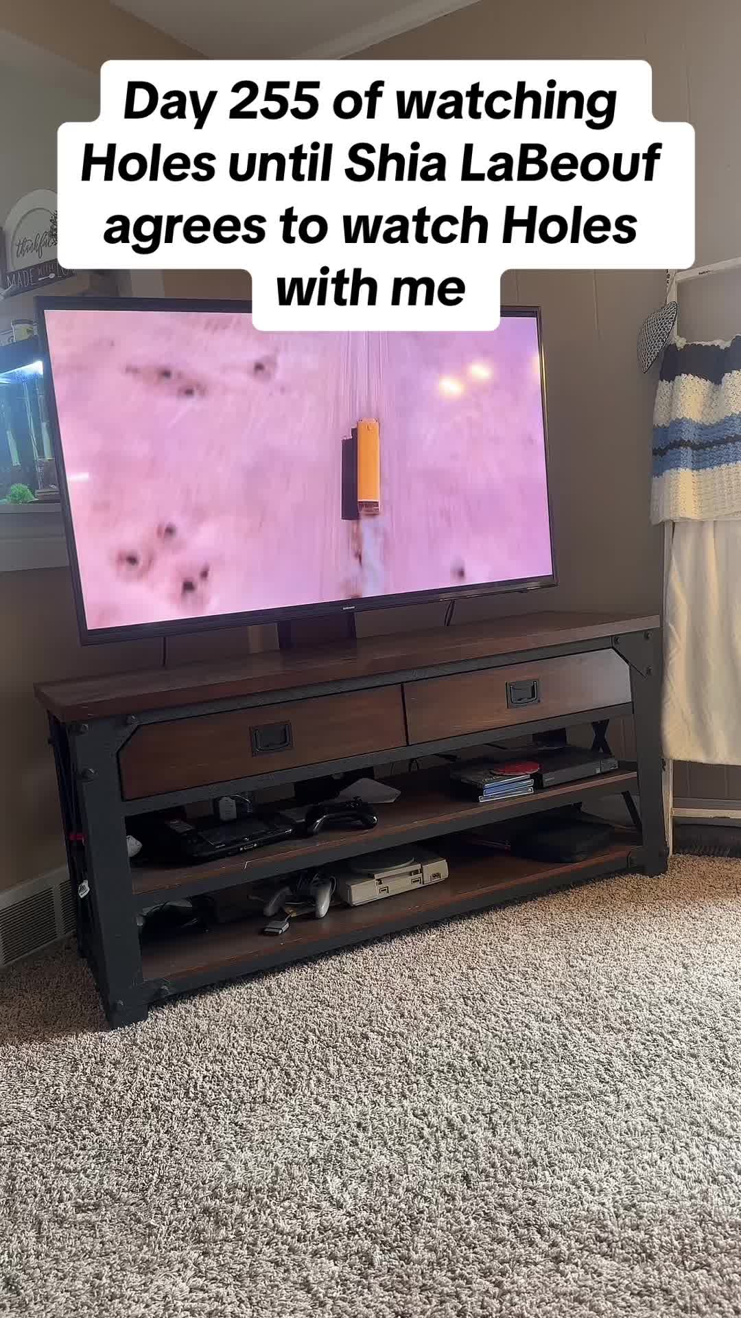 @HolesTikTok