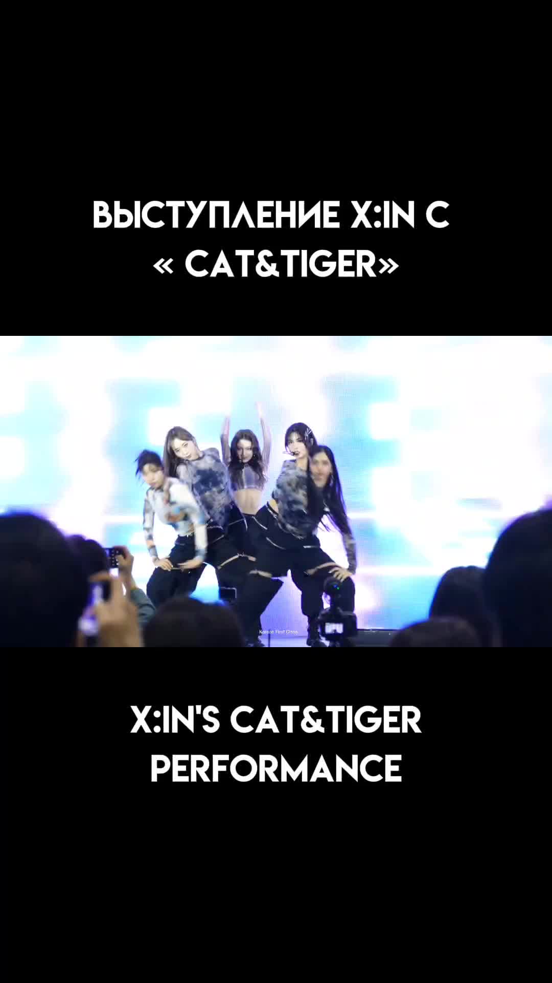 @xinlly