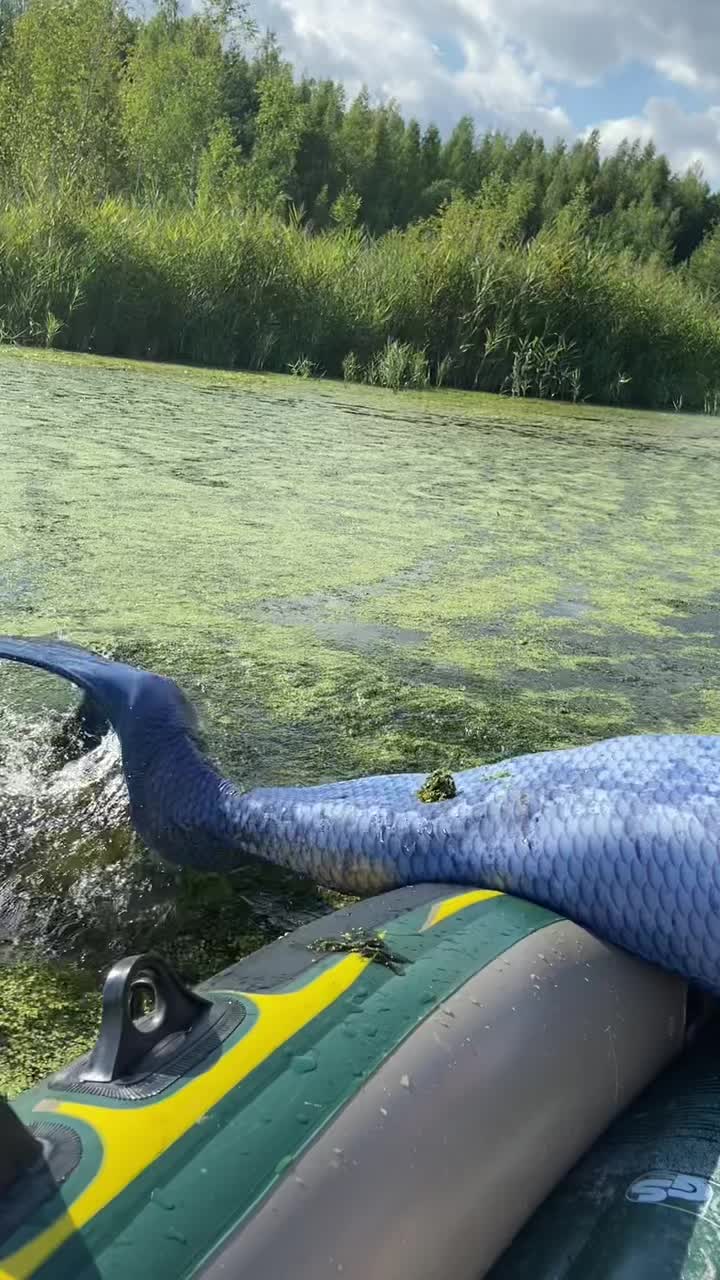@Marie Korbo   🧜🏻&zwj;♀️