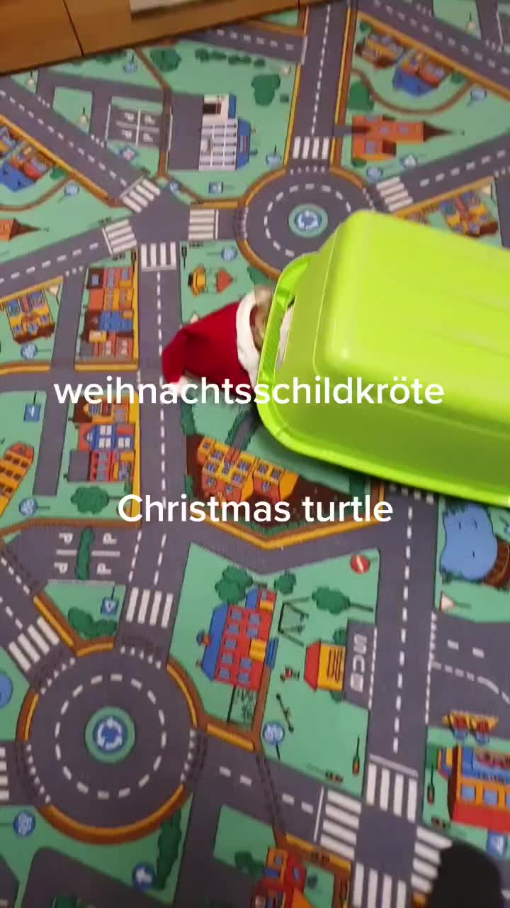 @info