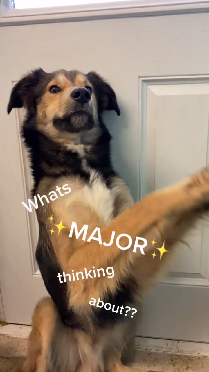 @Bunnies🐰 & Bitches🐕
