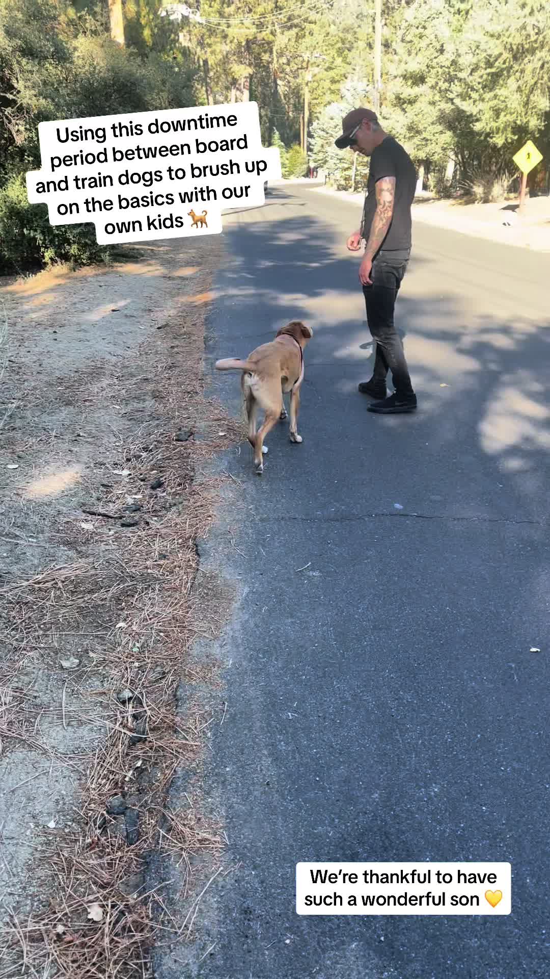 @Prestigious.Pooch