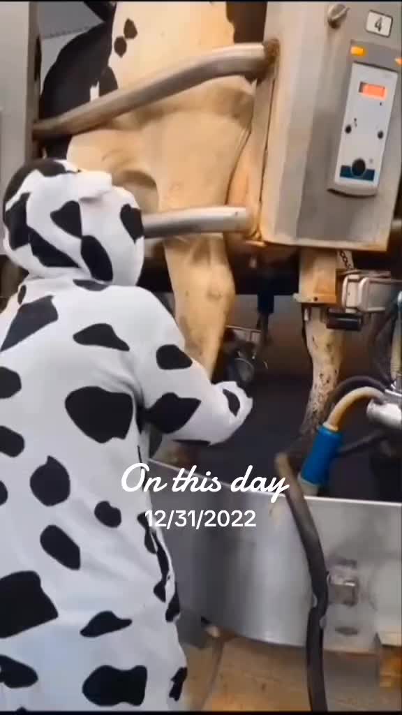 @Farmer Moo