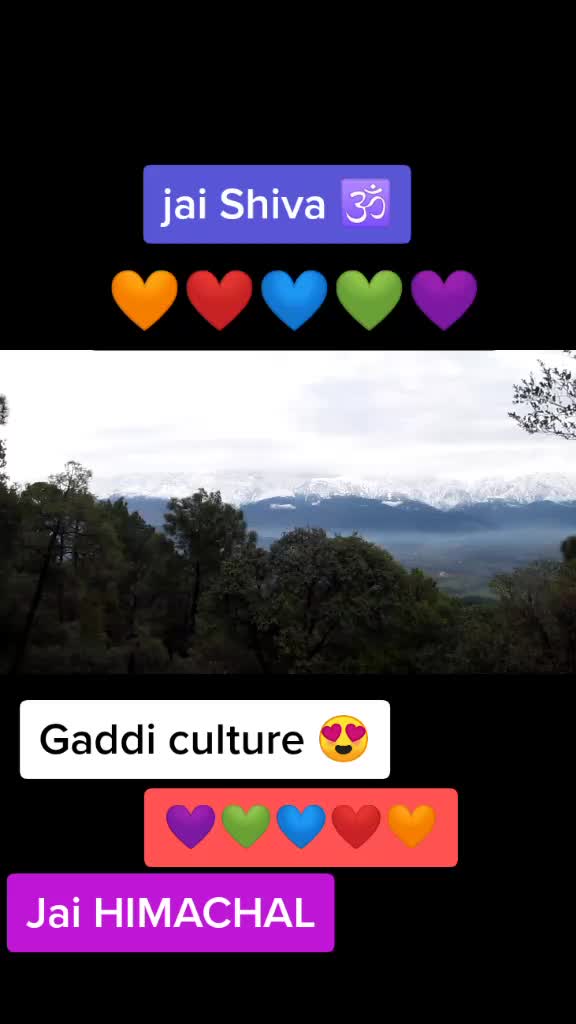 @❤️छोरु🦁पहाडी❤️