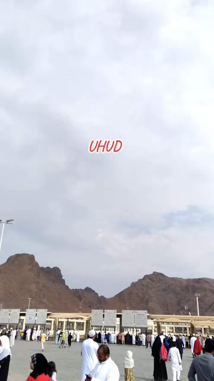 @irfan.ae