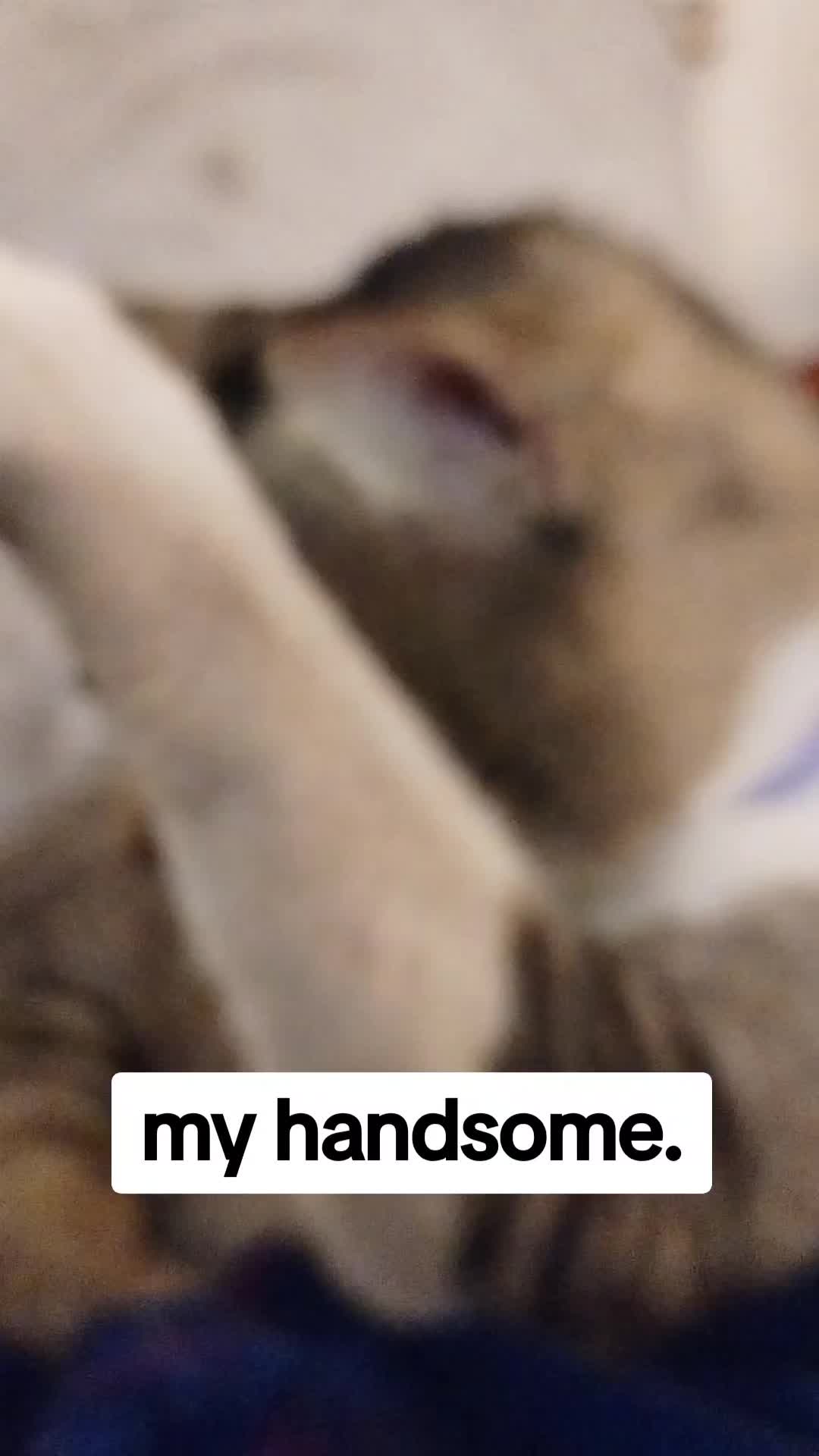 @dayscott875