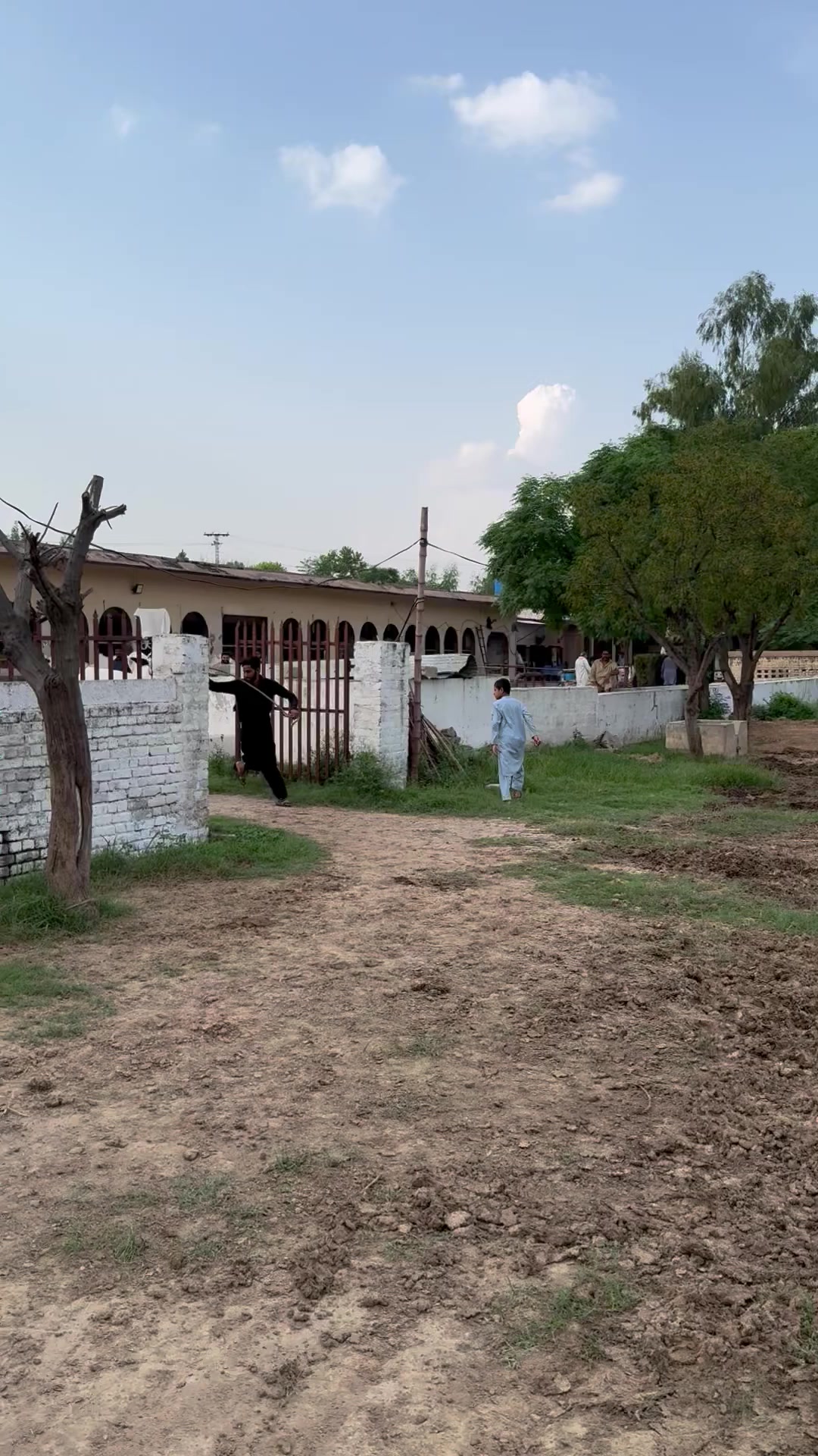@Gulf Cattle Farm Official