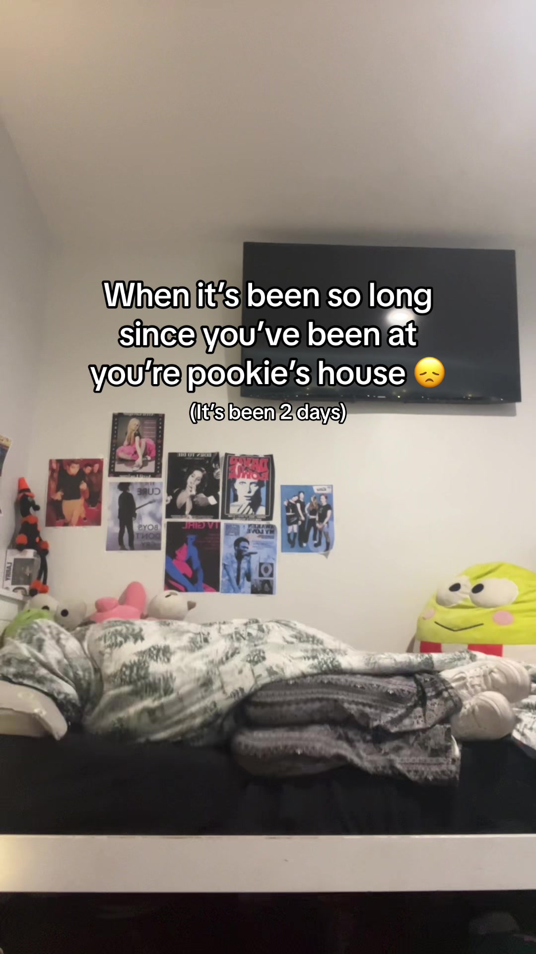 @𝐒𝐓𝐄𝐋𝐀 ✮⋆˙