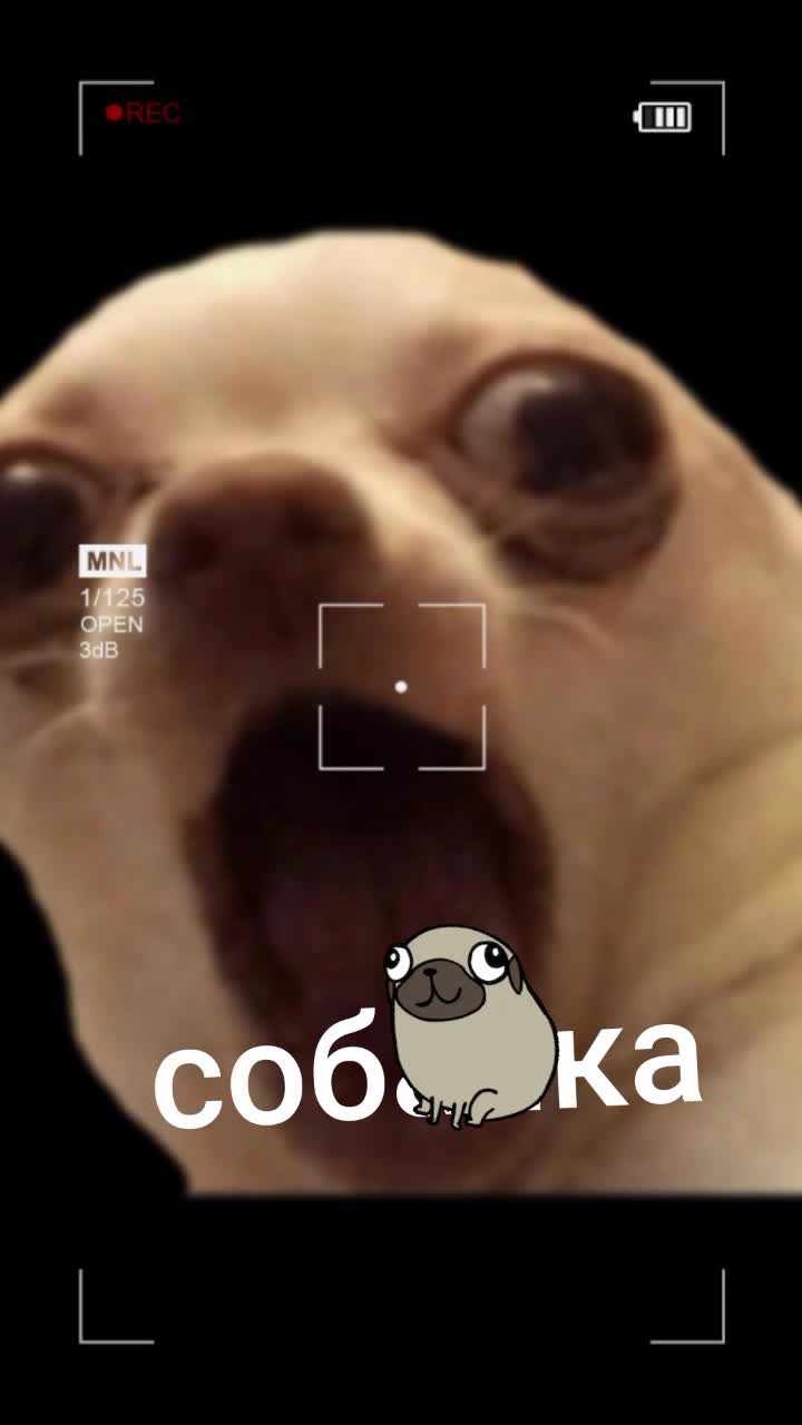 @HoloDok🍭