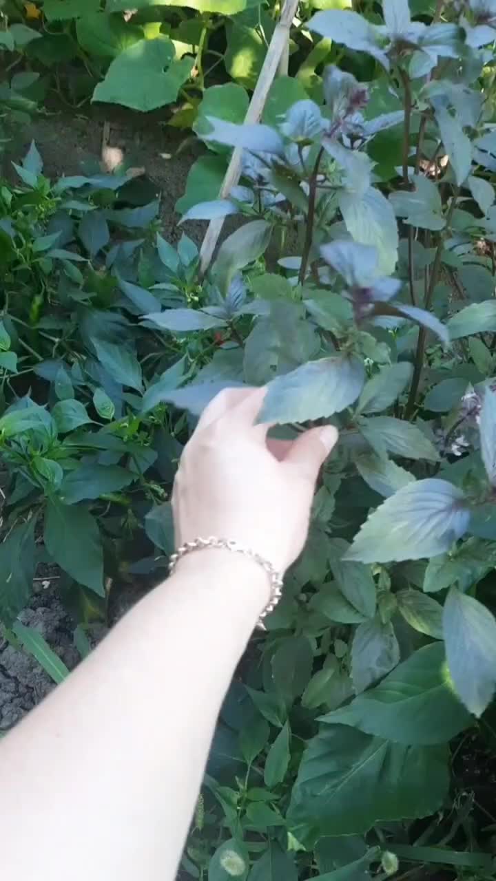 @Evimin.Temizliyi