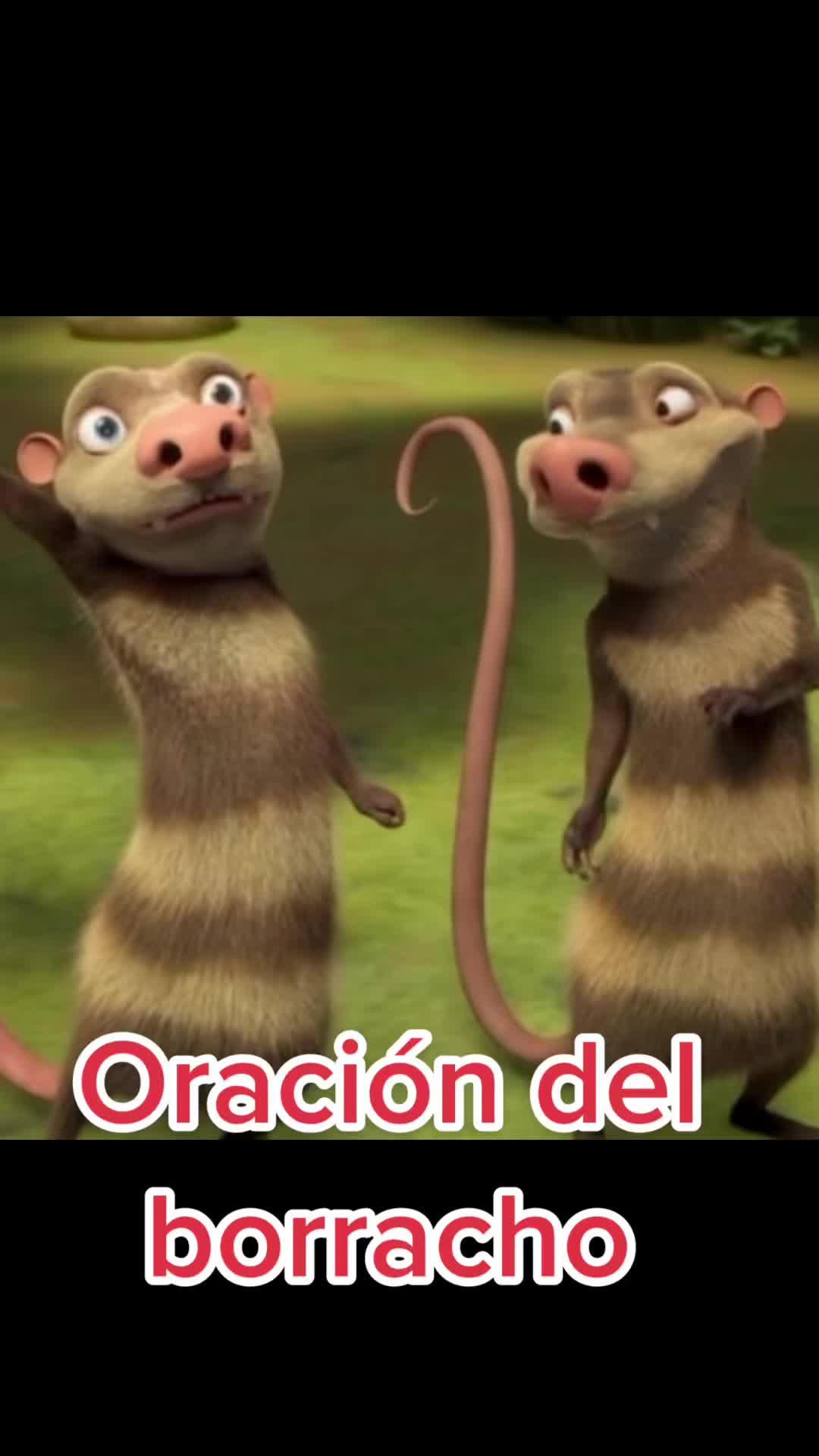 @🌜Estela Luna🌛
