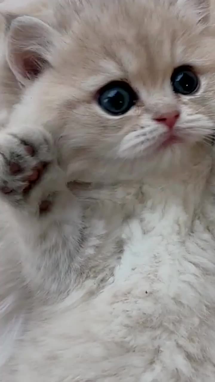 @Cute_babys