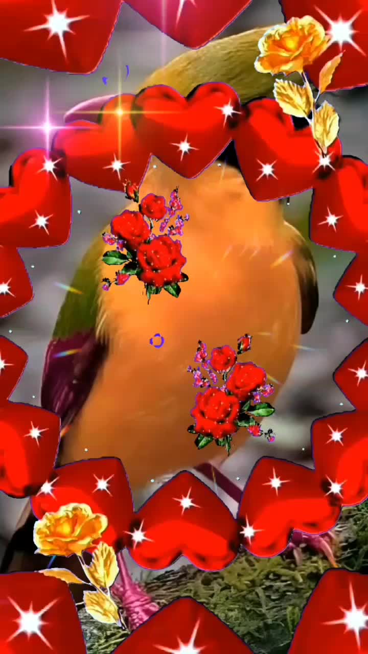 @@EdySaydStudioOfc