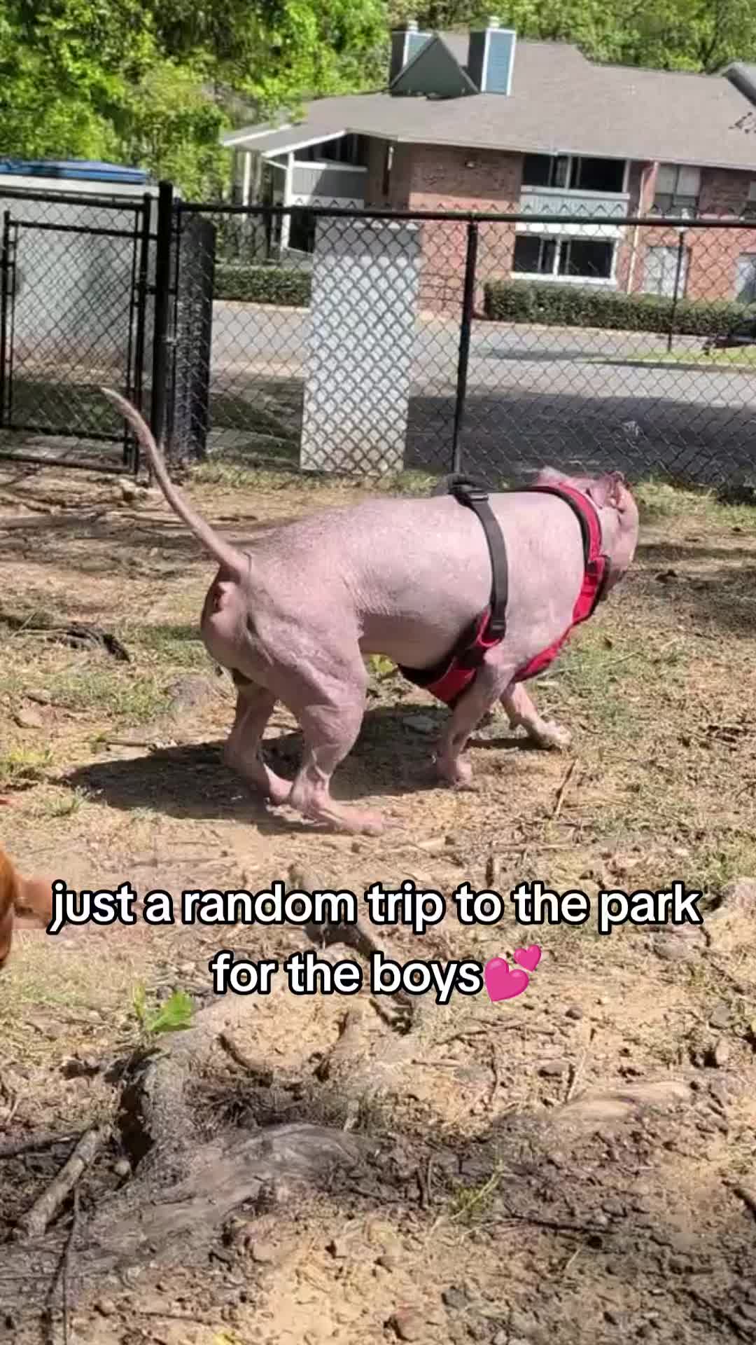 @Alexswaggzillaa