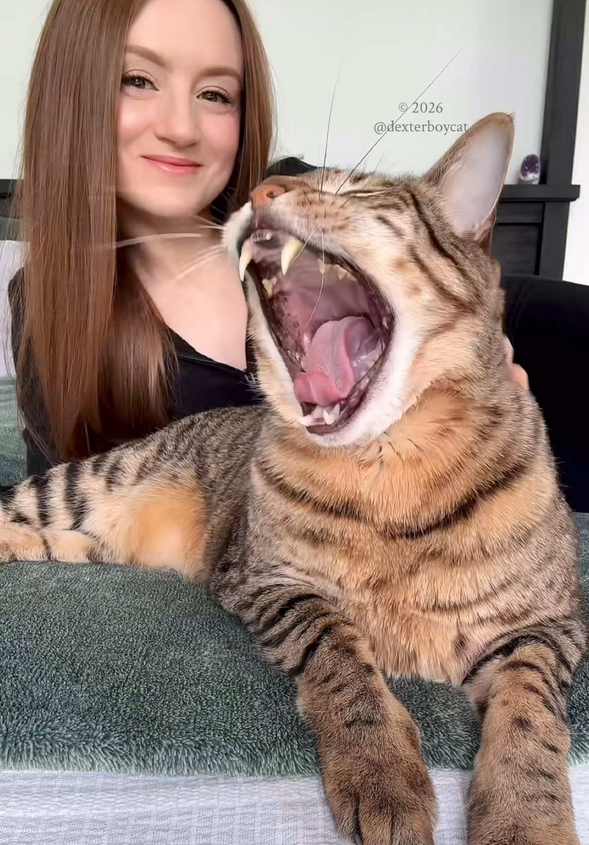 @dexterboycat 🐆♥️