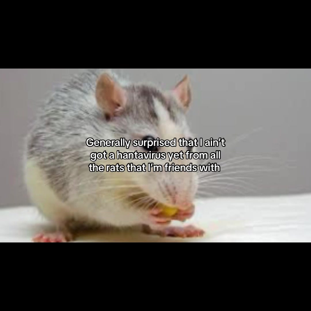 @georgewarden8