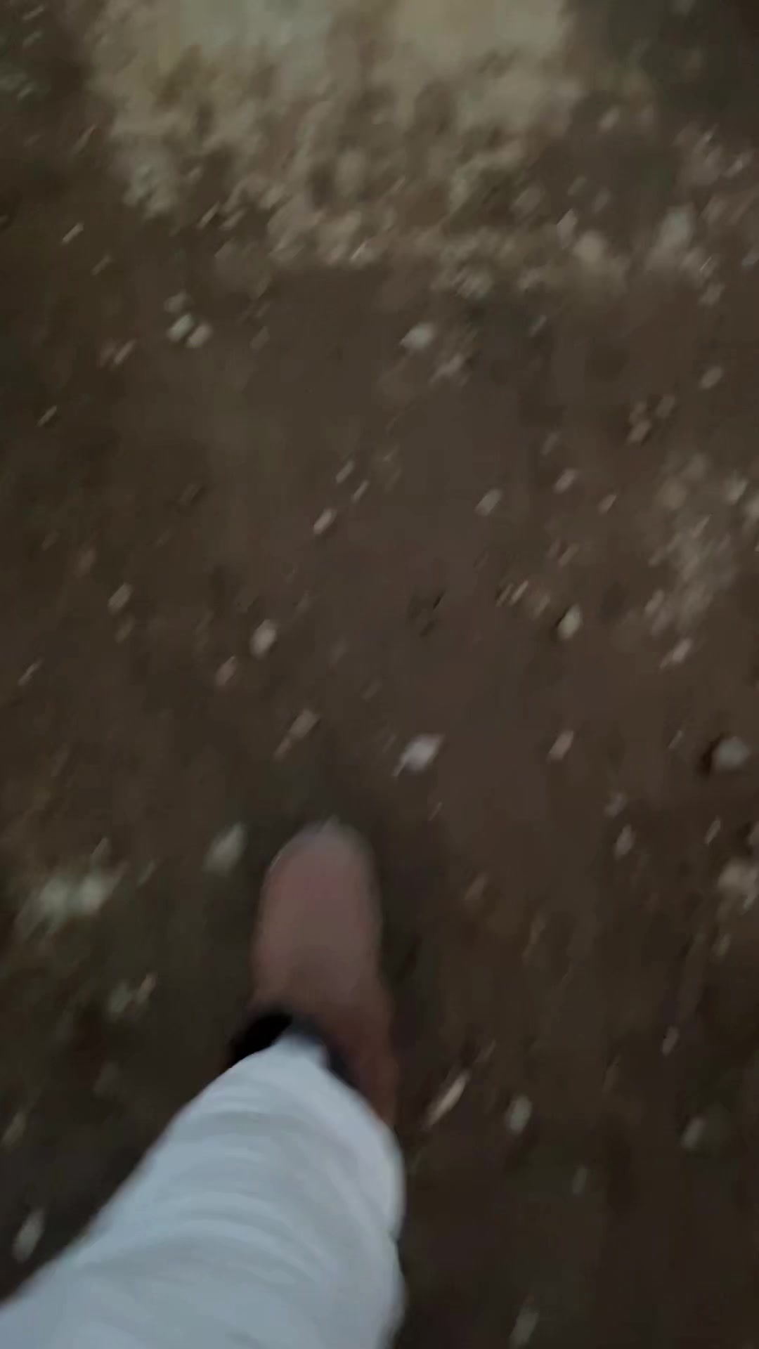 @pattrickstar7