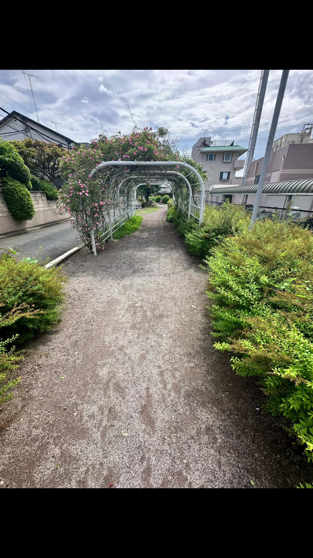 @TallestNepalese in japan🇯🇵
