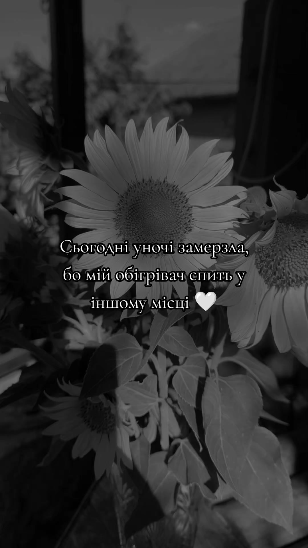 @♥️Олександрівна♥️
