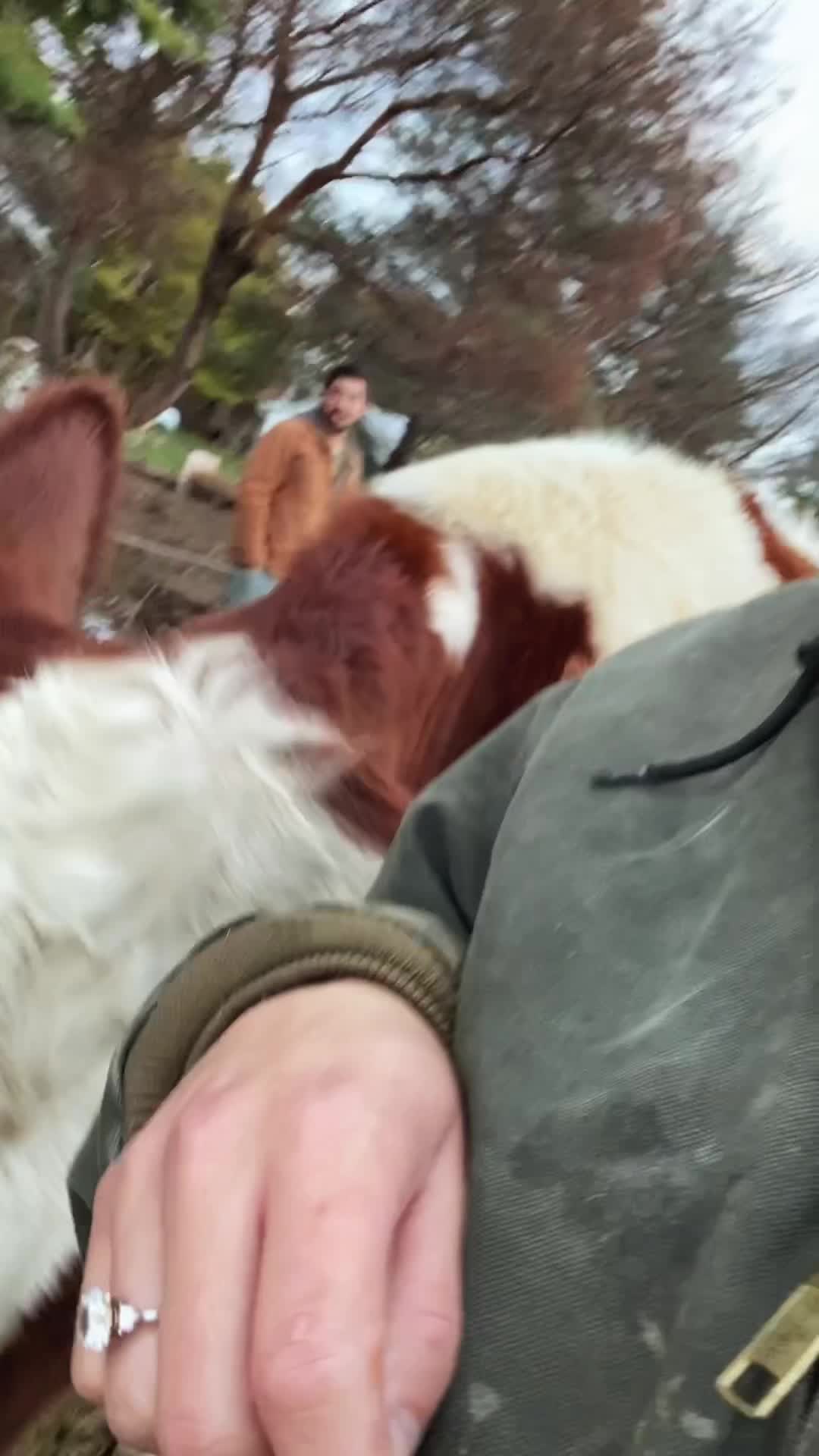 @CeDarCreekPastures