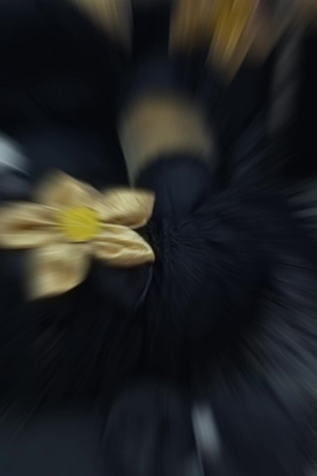 @🪡𝕶𝖆𝖗𝖚𝖐𝖆𝖏🪡