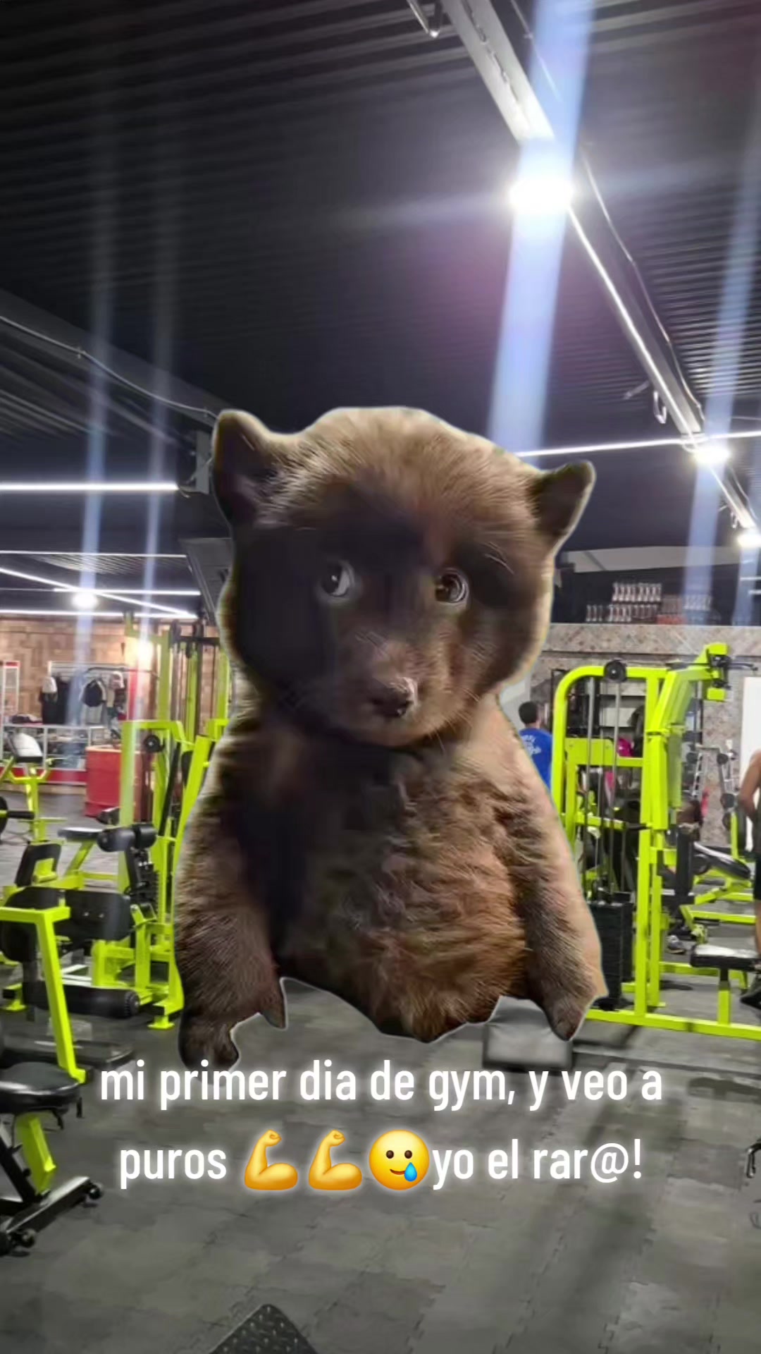@BatorGym#1