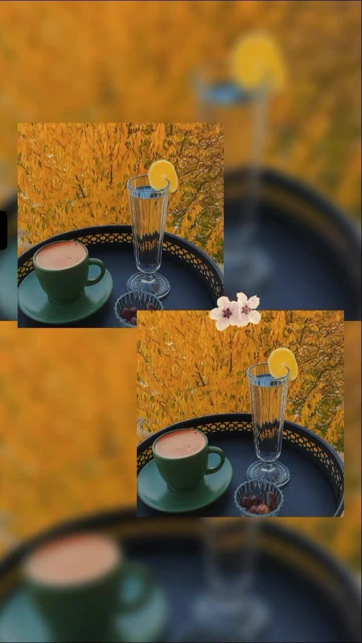 @hayaldenizi