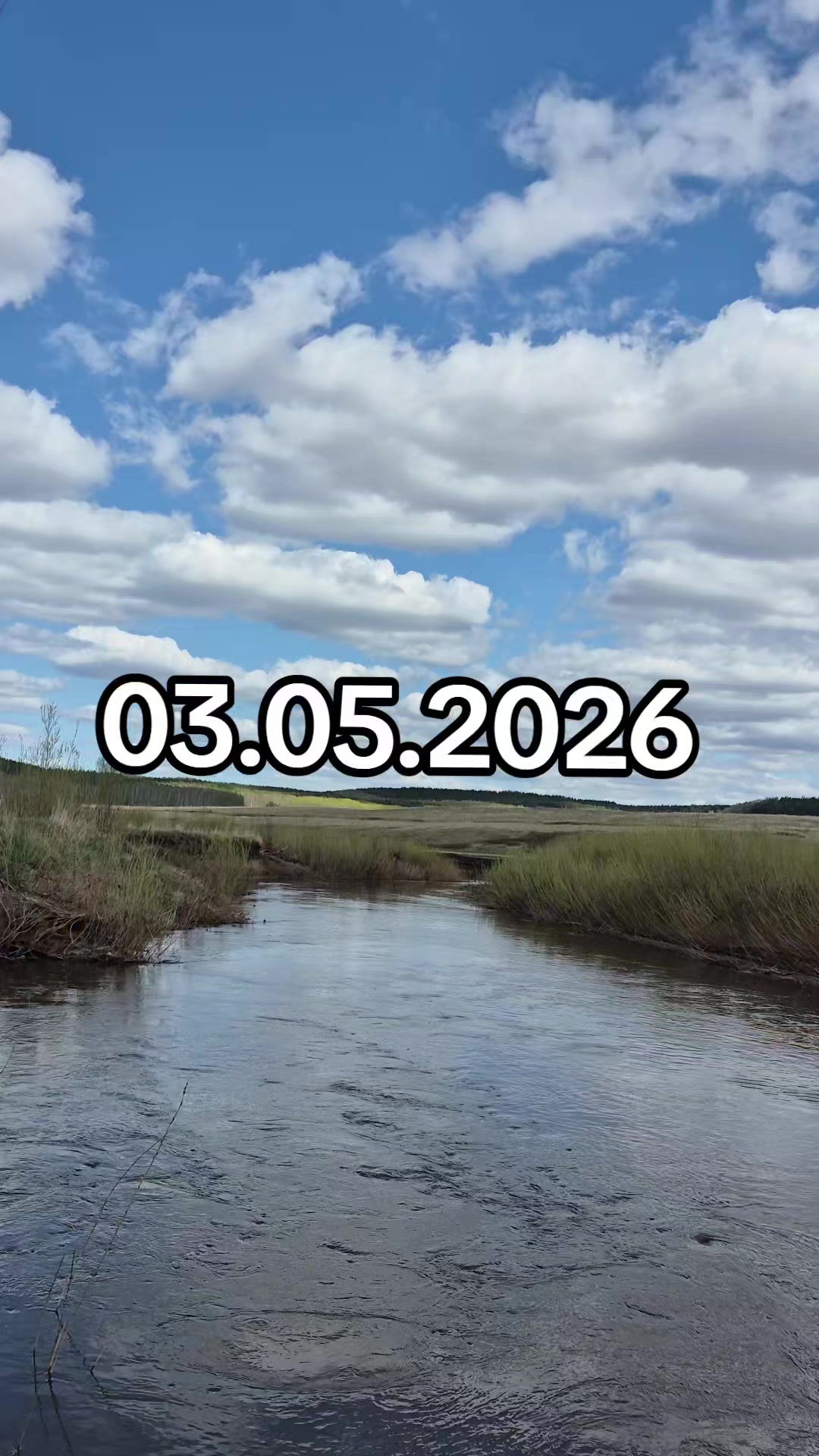 @🌷Лавандыш🌷