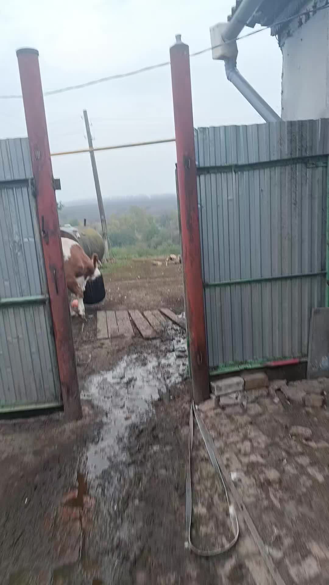 @Е.М.