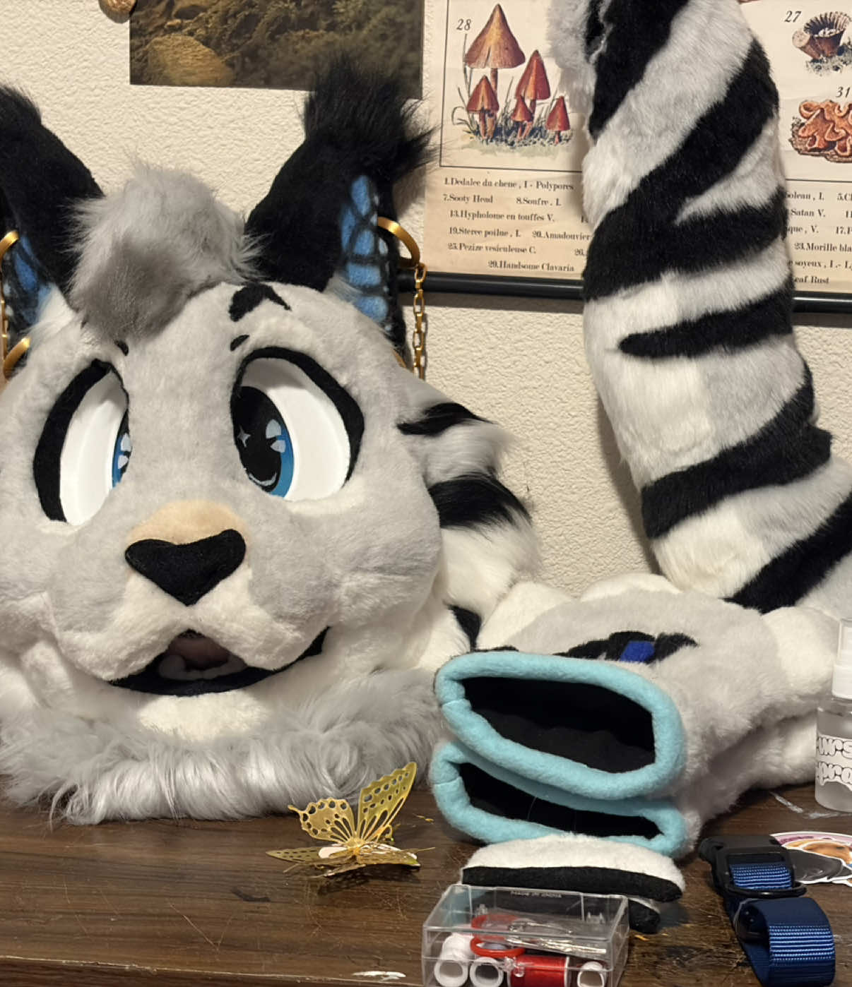 @RoadKill Creations Fursuits