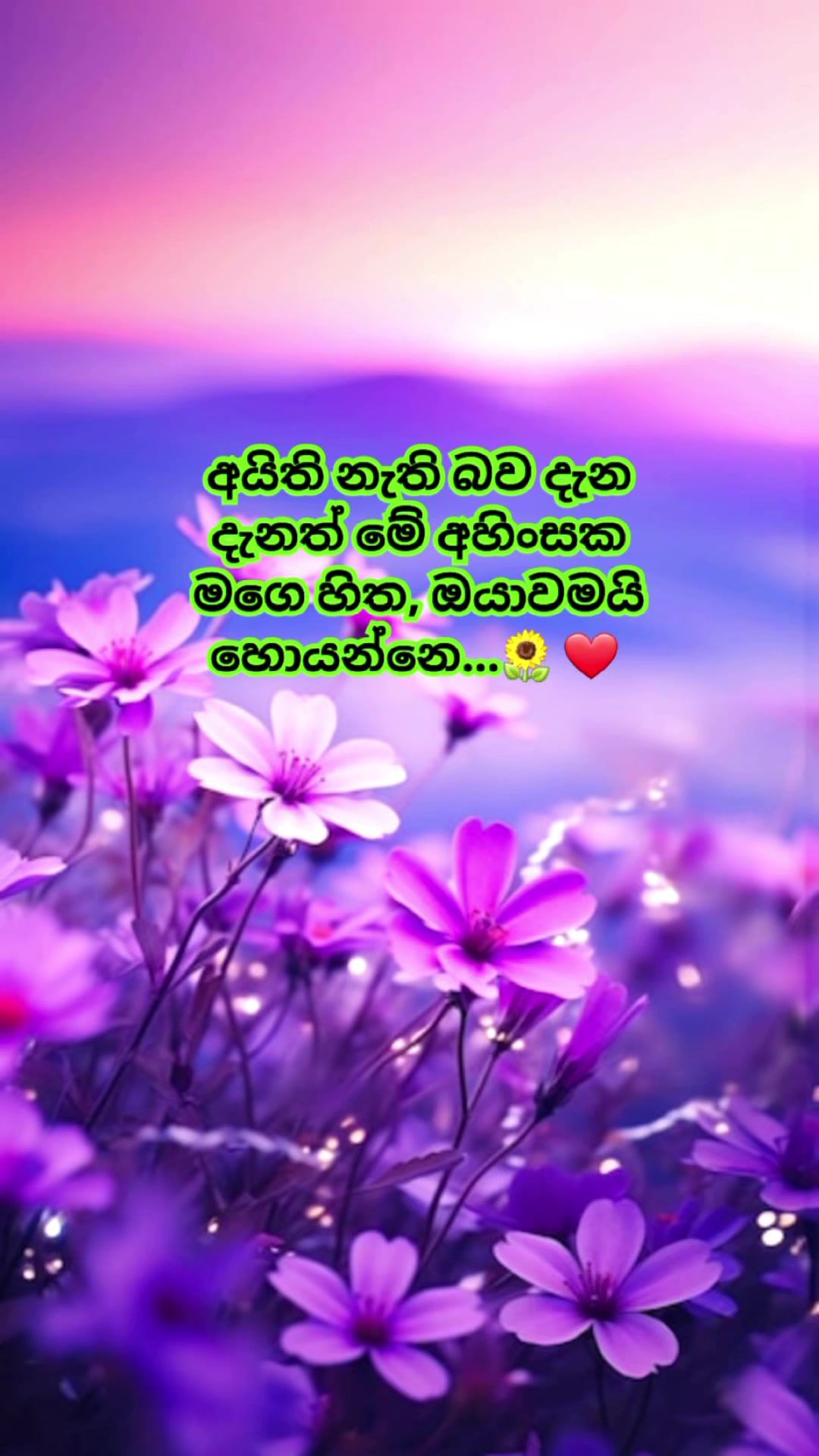 @Mashi