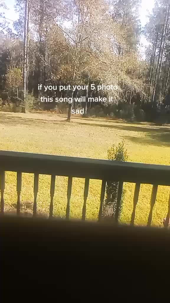@Cringe House