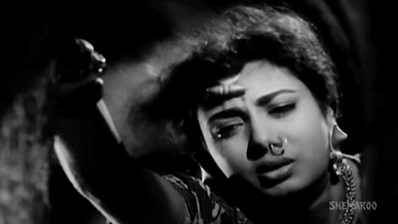 @mansooralidhanani5