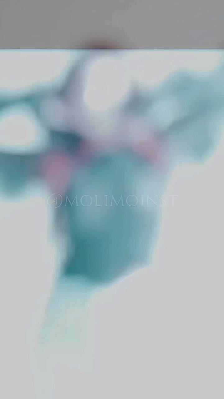 @molimoinst