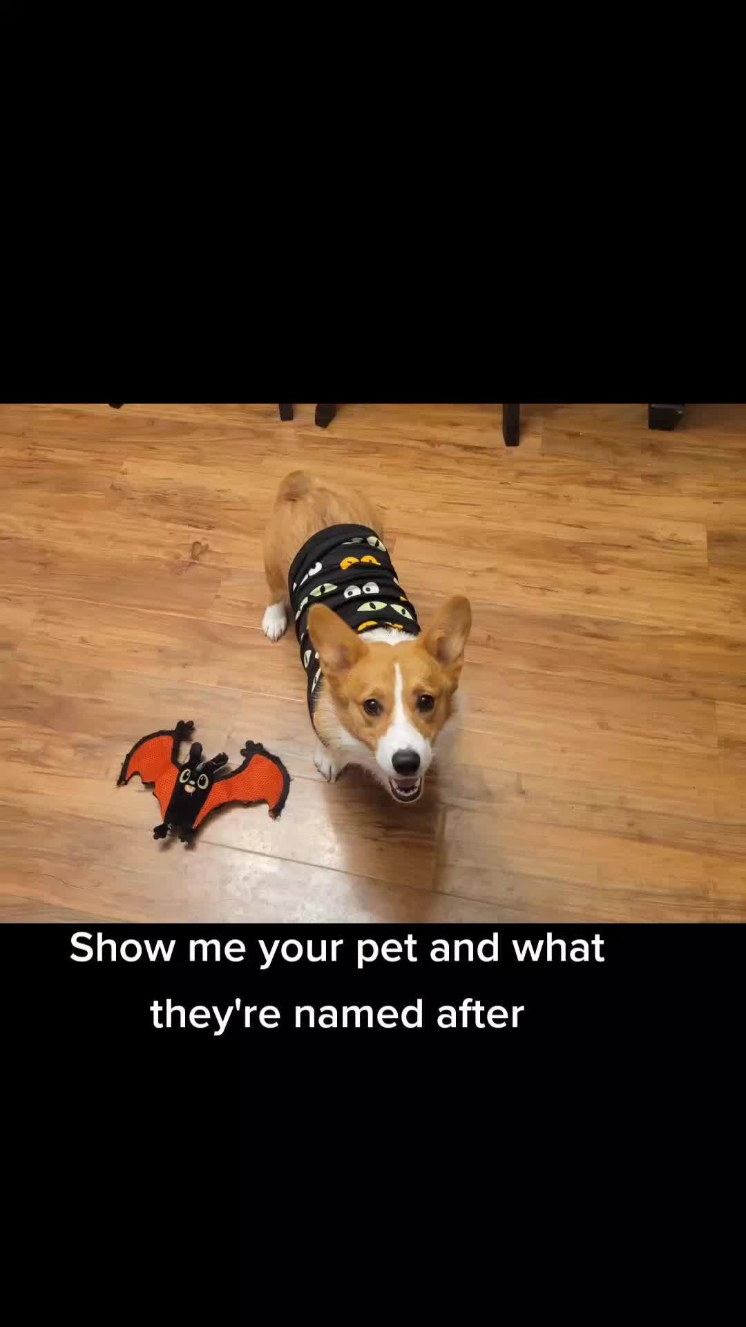 @Ryalla
