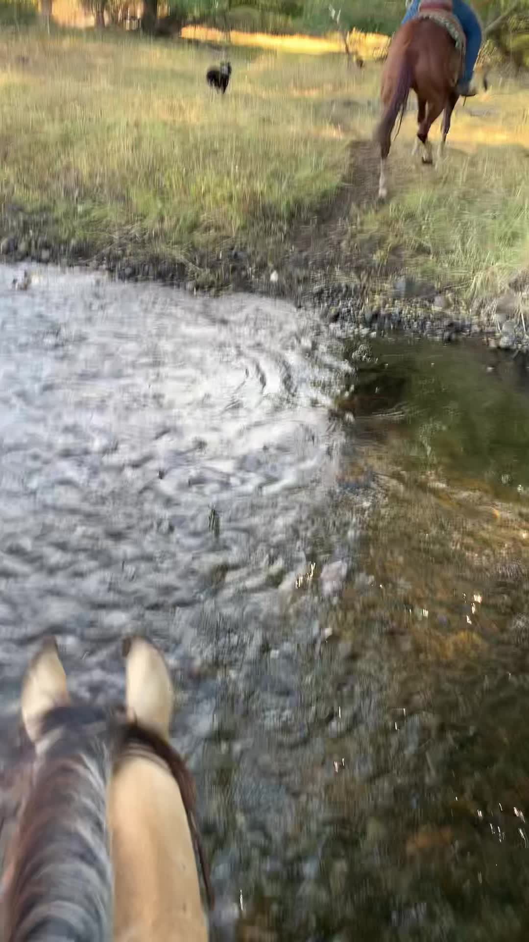@Cowboytok