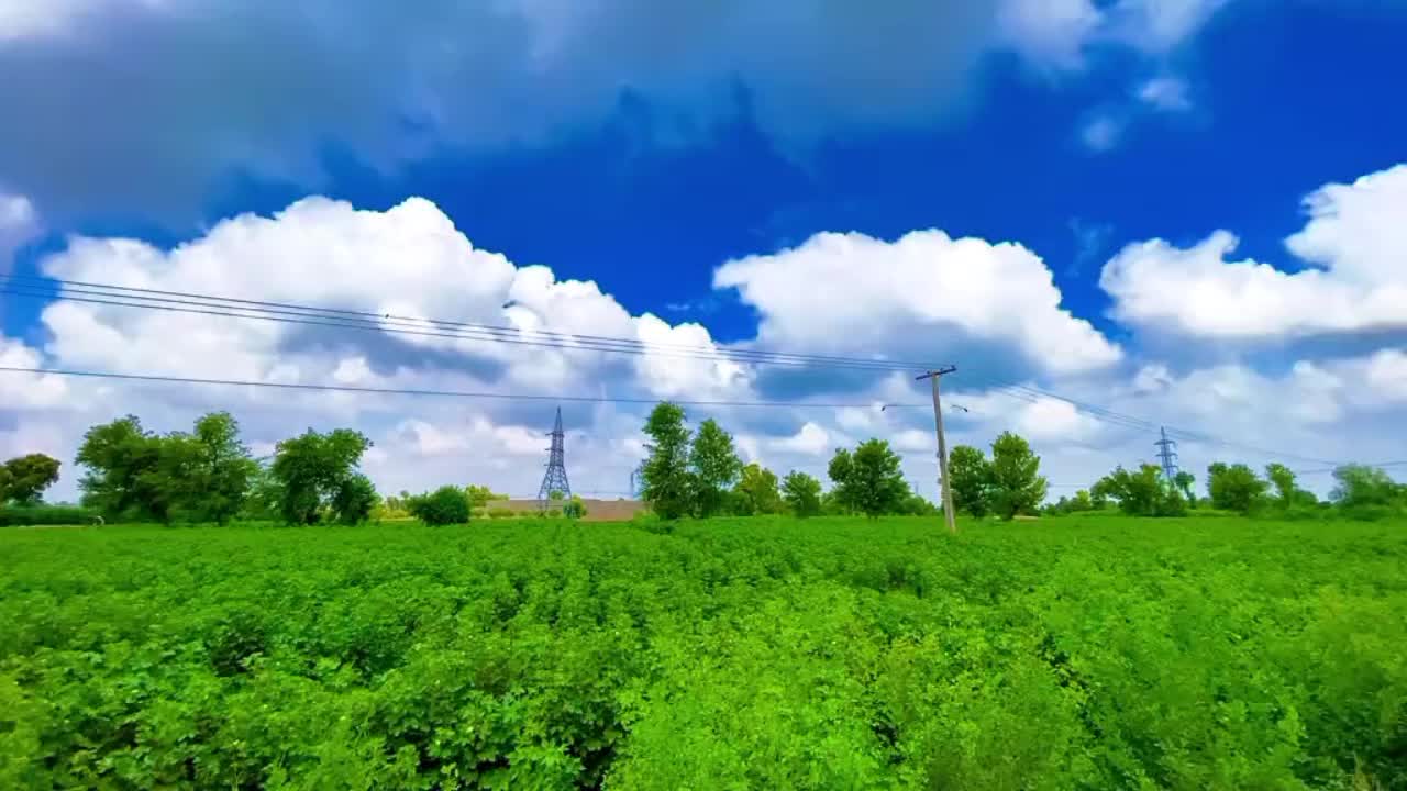 @MalikNawazRyk