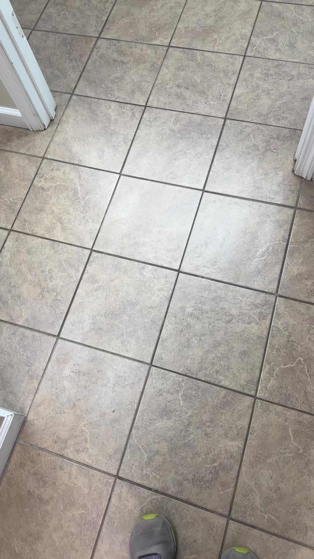 @Scott County Vet Clinic