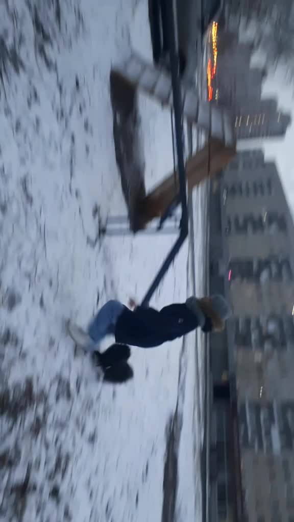 @dog_chip