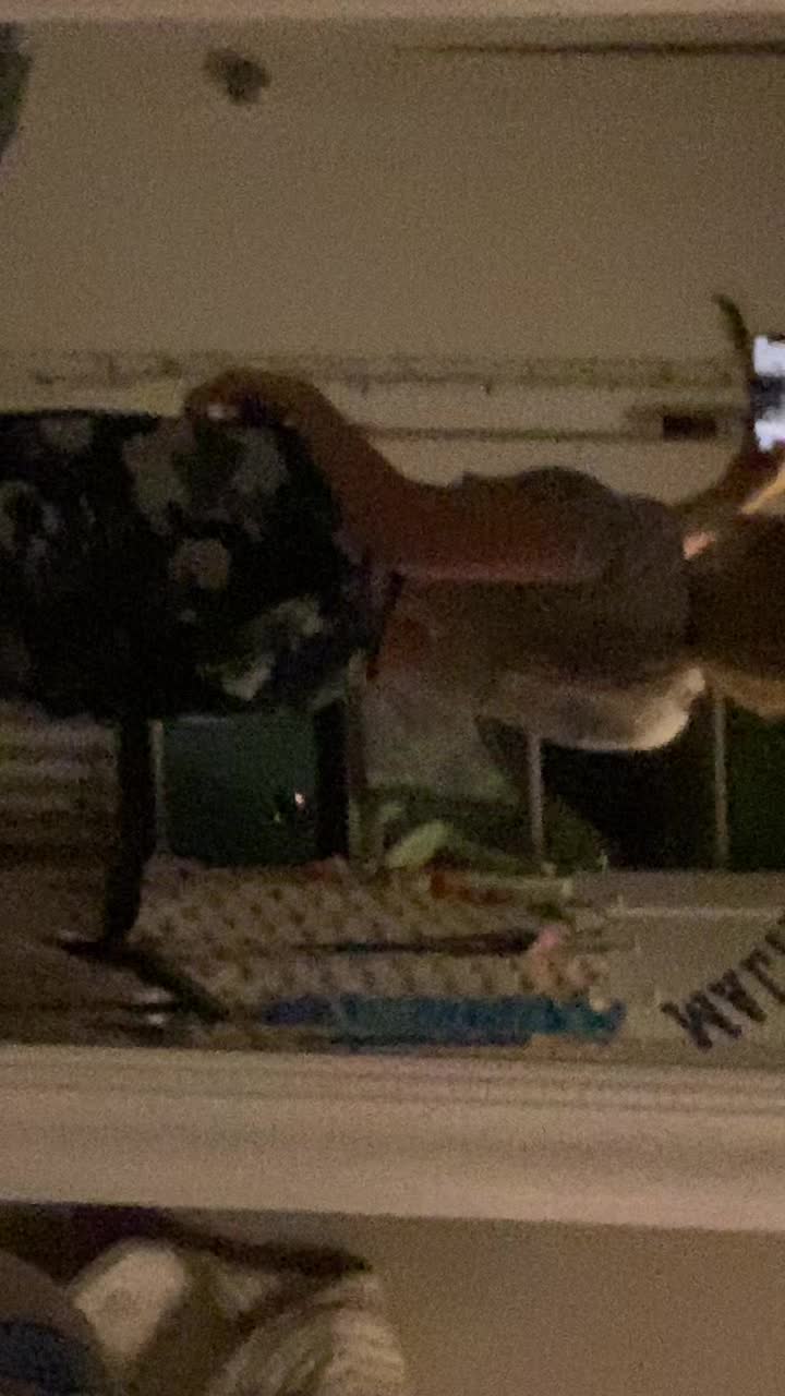 @Georgia