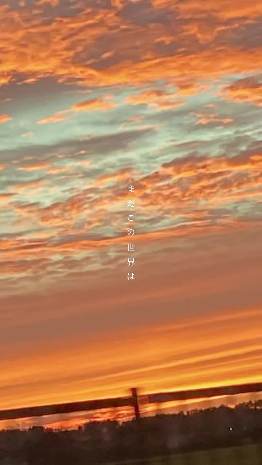 @seiraʕ•ᴥ•ʔ